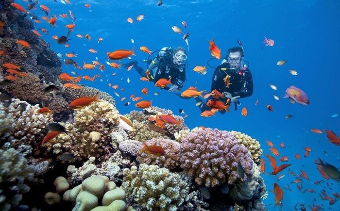 La encuesta se realizó en 11 mercados turísticos clave de la región, con la participación de más de 850 turistas de países asiáticos. Los resultados mostraron que Indonesia encabezó la lista, seguida de Filipinas, Tailandia, Malasia y Vietnam. Fotografía de Internet