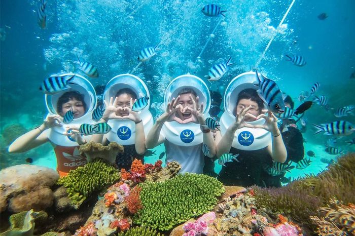 Destinos de buceo excepcionales como Phu Quoc, Nha Trang, Con Dao, Cu Lao Cham y Vinh Hy tienen maravillosos paisajes naturales, ecosistemas diversos con hermosos arrecifes de coral y aguas azules cristalinas. Estos factores han ayudado a que Vietnam esté en la lista de los destinos de buceo más atractivos de Asia. Fotografía de Internet