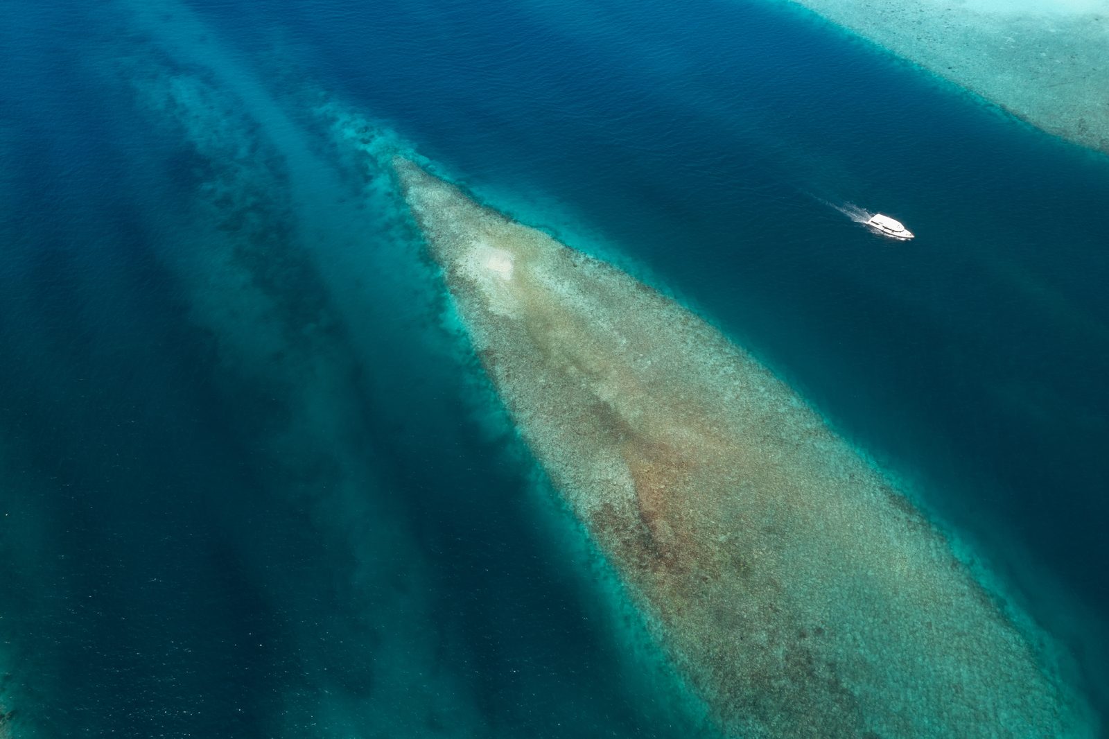 Barco navegando junto a un arrecife de Maldivas, visto desde el aire