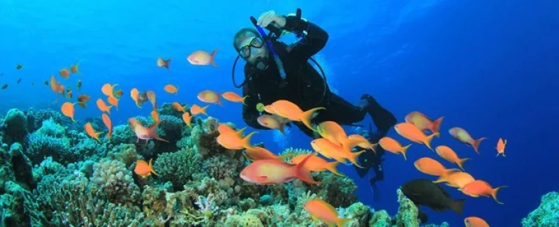 Camel Dive Club Sharm el Sheikh | Buceo en el Mar Rojo