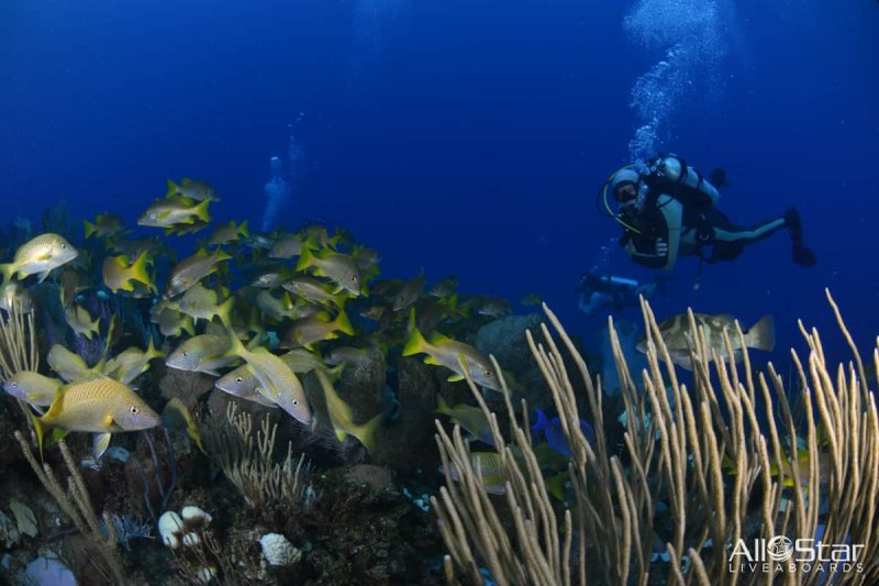 Sharm el Sheikh Rixos