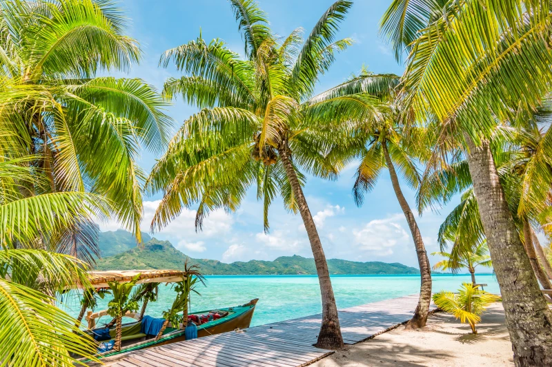 Tesoros submarinos Tahití, Rangiroa y Fakarava