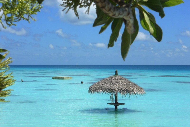 Tesoros submarinos Tahití, Rangiroa y Fakarava