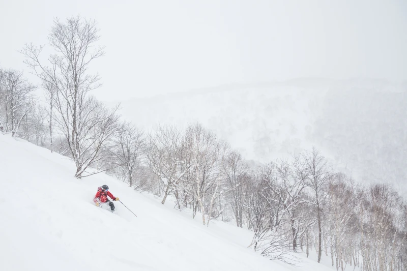 Niseko y Hakuba