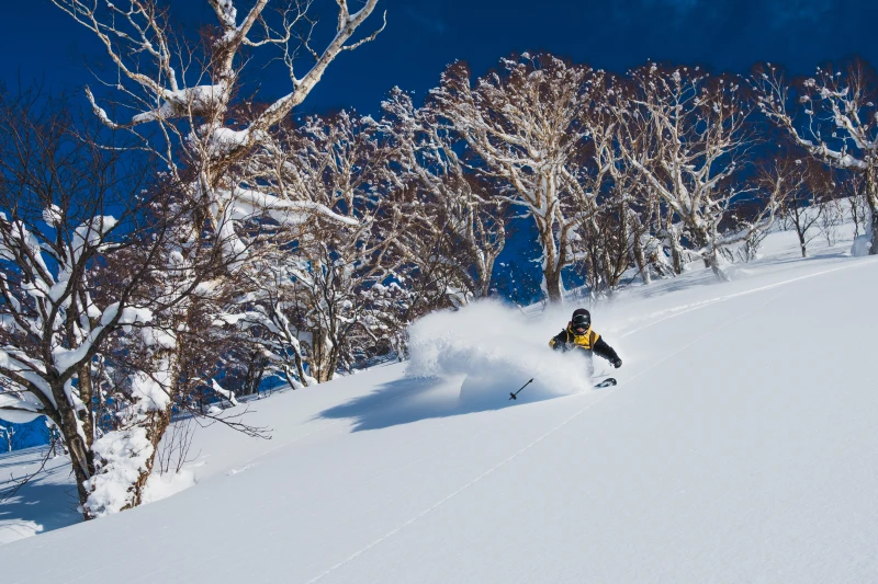 Niseko Sukiyaki