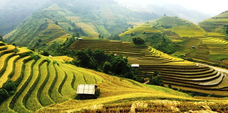 Bali (Ubut) Gili y Seminyak