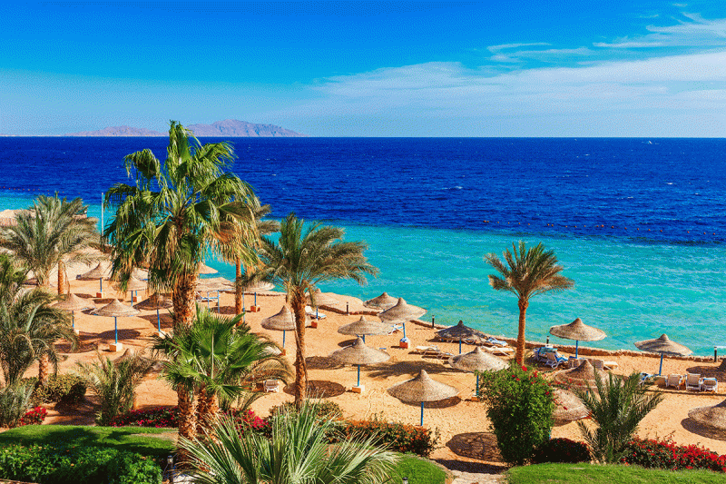 Sharm El Sheikh · Charter Verano 2026