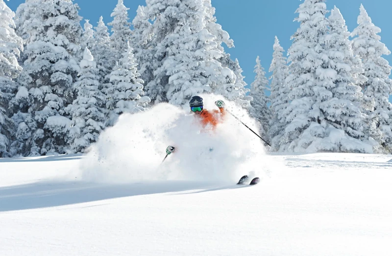 Vail Resorts en grupo