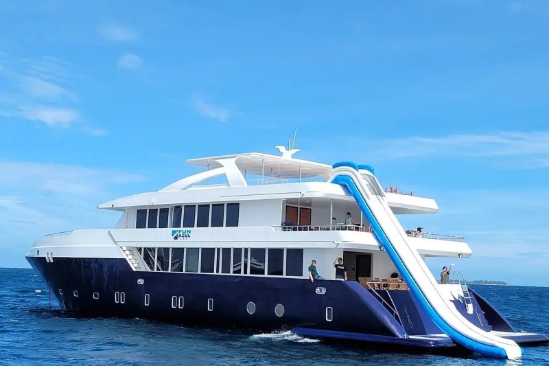 Blue vida a bordo