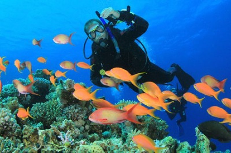 Bucear en España: 10 Mejores Sitios + Cursos Open Water
