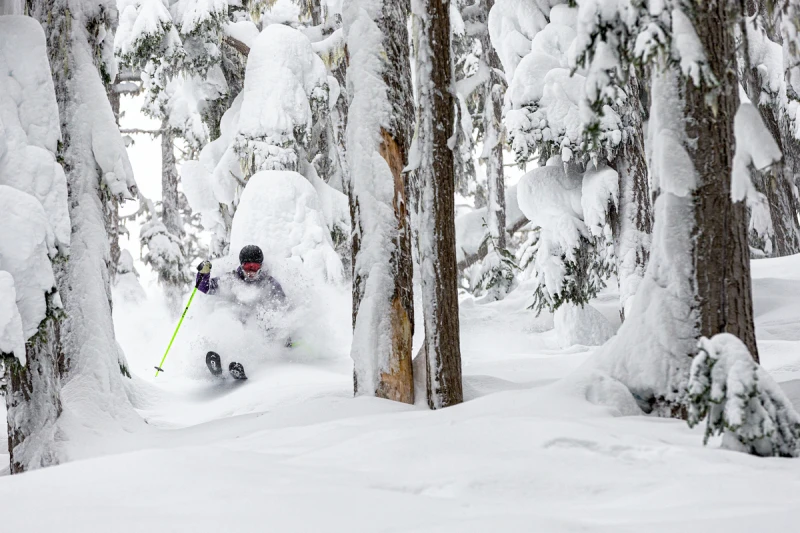 Novedades Whistler 2025/2026
