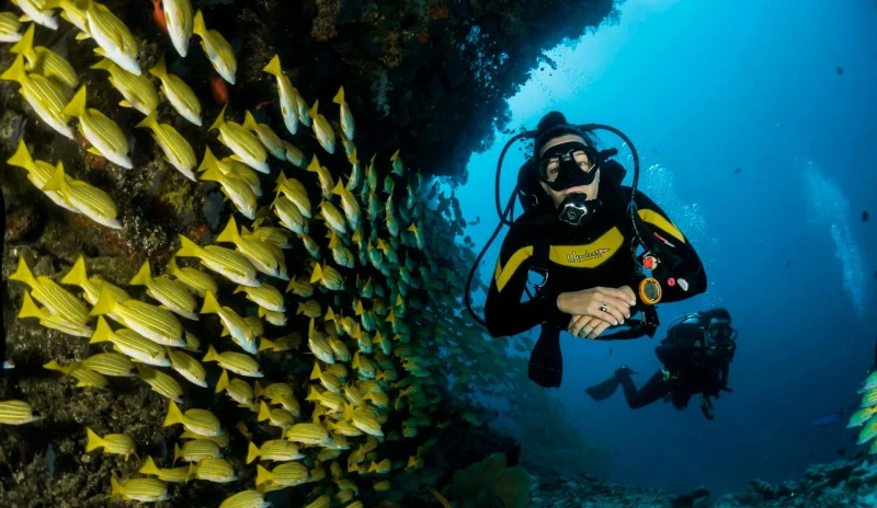 Kuramathi Island Resort