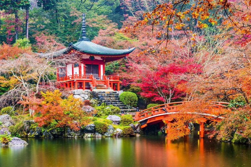 Japón de Ensueño