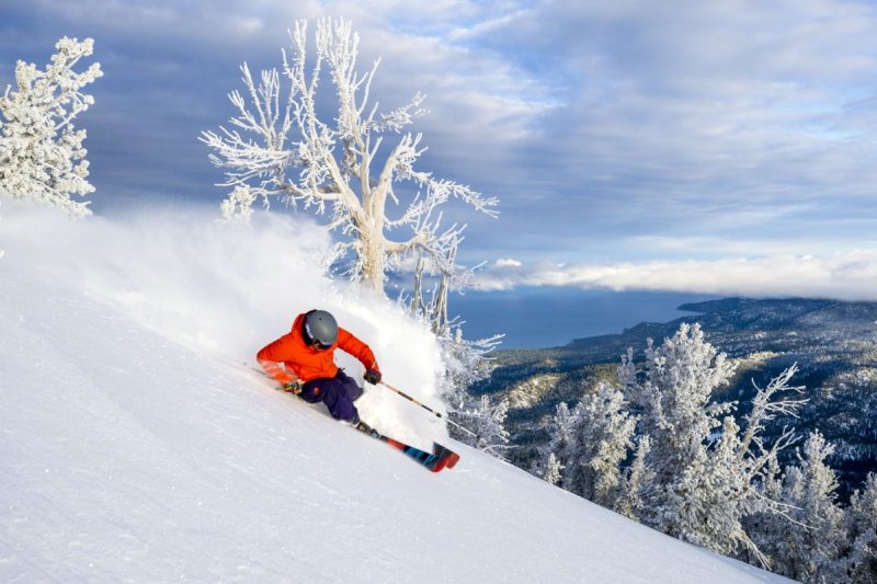 Lake Tahoe Safari en casa de campo
