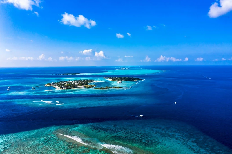 Guía de Maldivas: crucero de buceo, resort o isla local